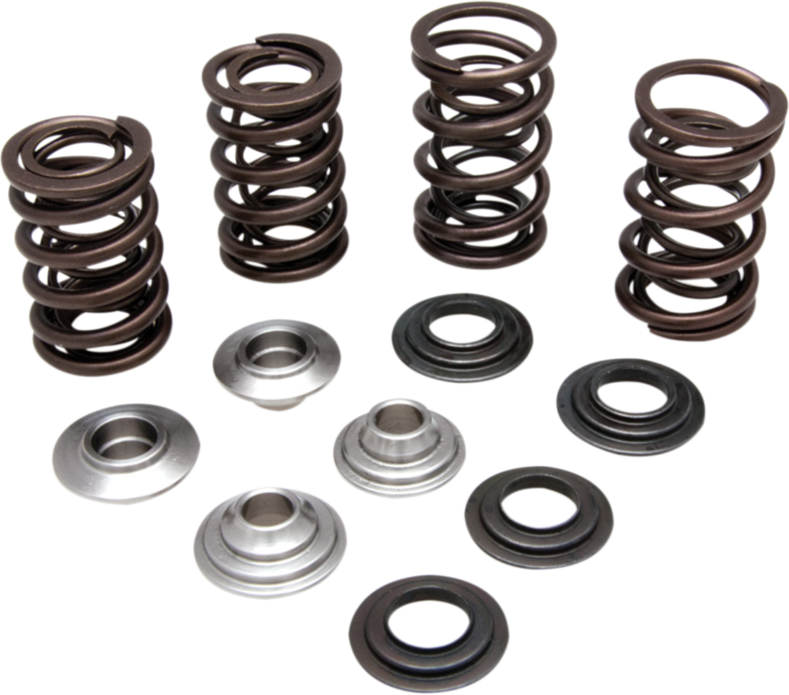 KIBBLEWHITE Valve Spring Kit - 0.415