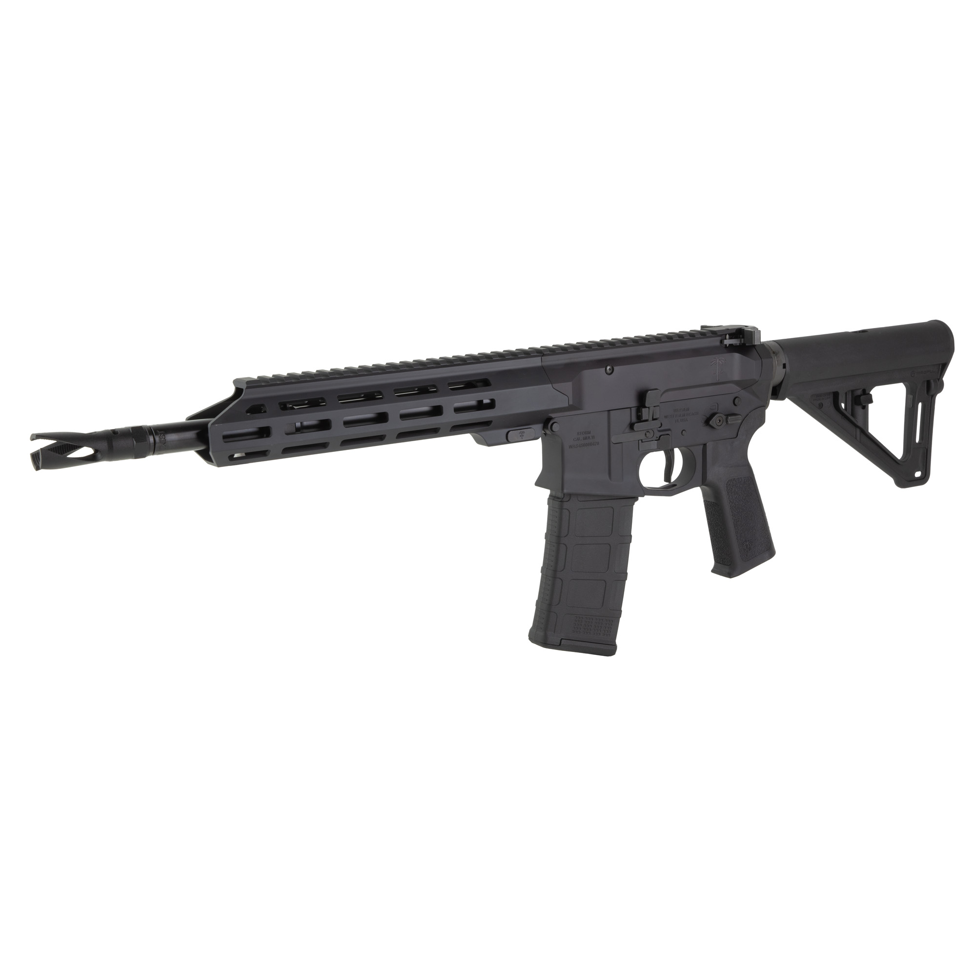 US PALM CAT4 PSTL 556 30RD 11.5 BLK-img-6